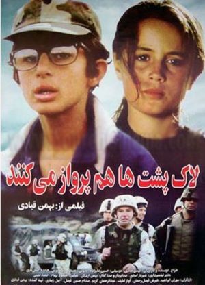 لاک پشت ها هم پرواز می‌کنند