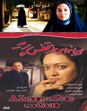 دیوانه ای از قفس پرید