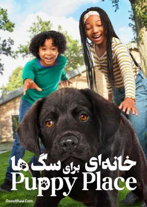 خانه ای برای سگ ها
