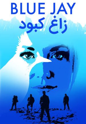 زاغ کبود
